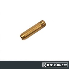 BLOT Guide De Soupape Standard