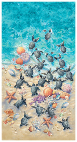 Race safety sea turtle - race,