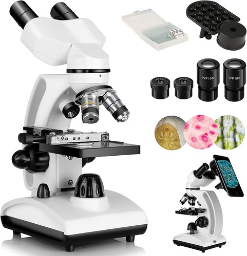 Microscope binoculaire - microscope,