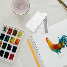 Palette d'aquarelle : boîte