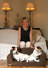 Créateur Animal Canapé Chien