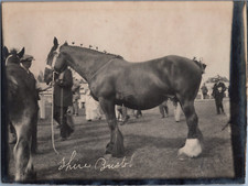 France, Paris, Concours