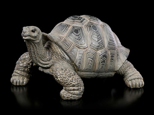 Figurine tortue terrestre - figurine,