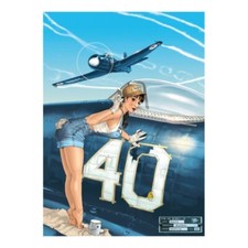 AVIATION de GUERRE avions de légende PIN UP WINGS tome 3 SEXY WAR BIRDS HUGAULT