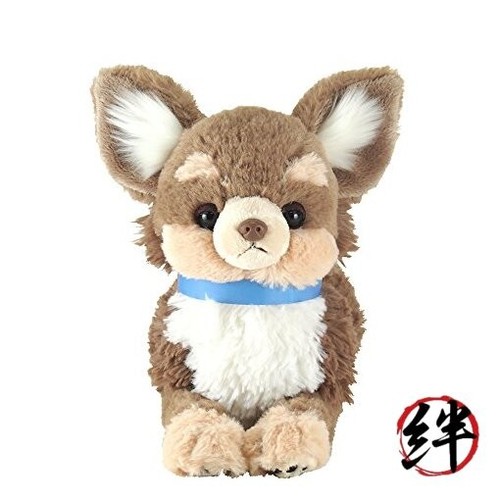 Heavy dog chihuahua - heavy,