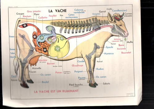 Lot affiche scolaire la - scolaire,