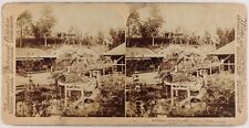 JAPON Jardin Nikko 1896 Photo Stereo Vintage P74L7n