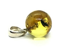 Pendentif Ambre Cadeau Insecte