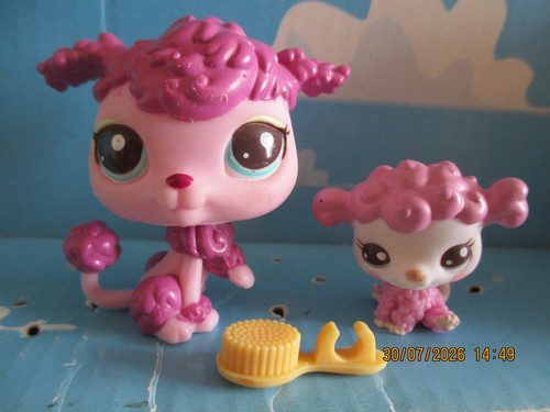 Petshop maman chien - petshop,