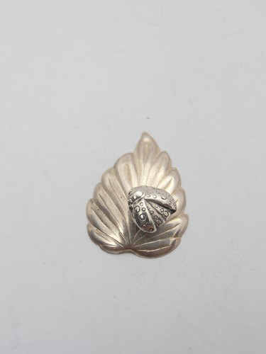 Coccinelle sur feuille - coccinelle,