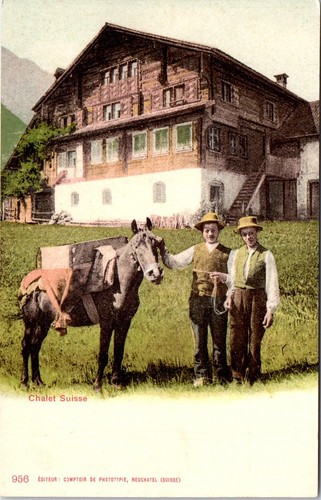 Suisse neuchatel chalet - -,