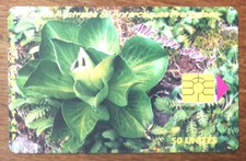 TAAF CHOU DE KERGUELEN