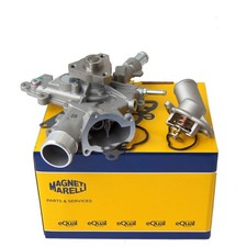 Pompe à eau + thermostat pour