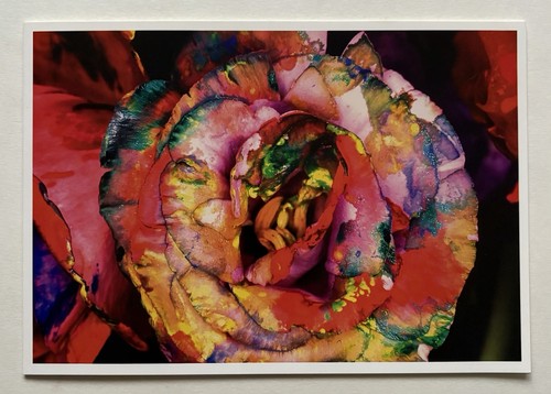 Nobuyoshi araki grand - araki,