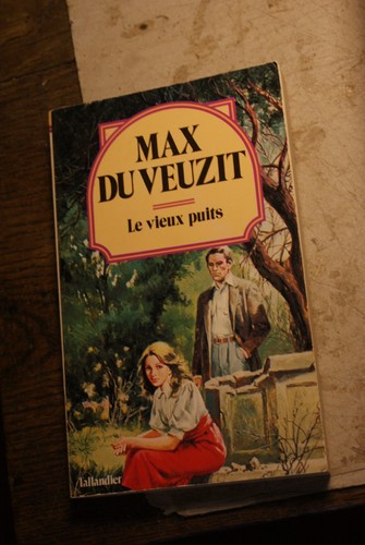 Max veuzit le vieux puits - le,