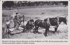 1984  --  MOISSON A LA LIEUSE