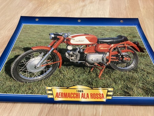 Aermacchi 172 ala - 172, cc