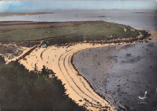 Carte postale postcard - , 10x15cm
