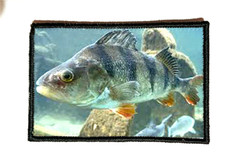 Patch MORALE 5x8cm "PECHE PERCHE" Broderie PRINT Design Fun Militaire