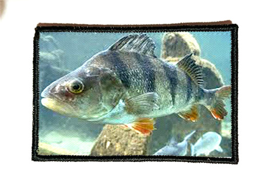 Patch morale 5x8cm peche - morale, "peche