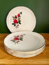 6 assiettes plates de chez Moulin des loups en très bon état.