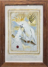 IMPRESSION ENCADRÉE DE PASCAL CESSOU - CACATOES À HUPPE JAUNE