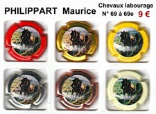 capsules de champagne