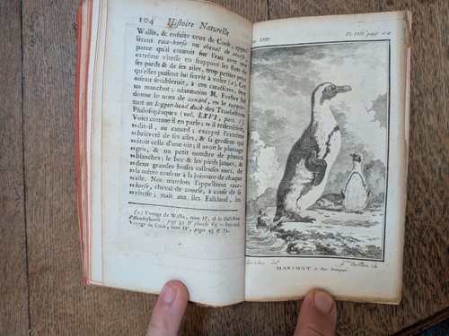 Livre ancien buffon histoire - livre,