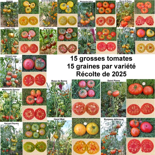 225 graines variétés de - 225,