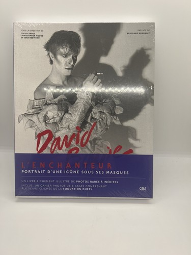 David bowie enchanteur - david, l’enchanteur