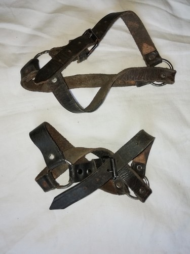 Rares sangles bottes - sangles, wh
