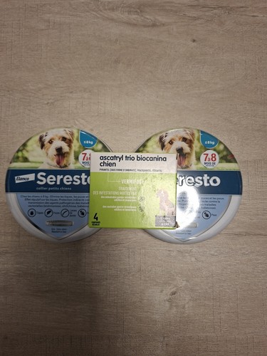 Colliers petit chien 1 - 2,