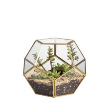 Terrarium en Forme de