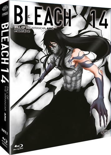 Bleach arc part - part, fall