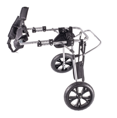 Fauteuil roulant pour - fauteuil, chien