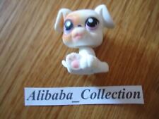 ** #84 DOG CHIEN CHIOT BOXER