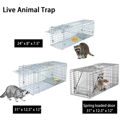 Live animal trap large - trap,