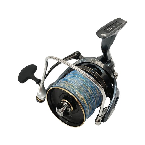 Daiwa surf basia - daiwa,
