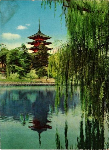 Cpm nara sarusawa - pond, and