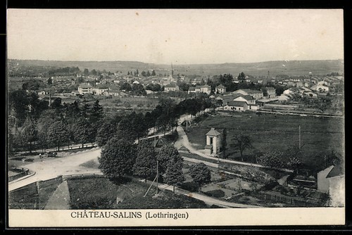 Cpa château salins - cpa, château-salins