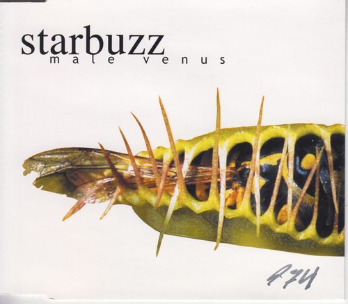 Starbuzz male venus - male,