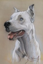 Dessin pastel portrait chien