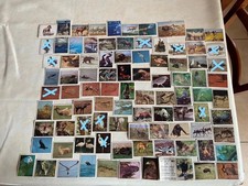 IMAGE PANINI AUTOCOLLANT