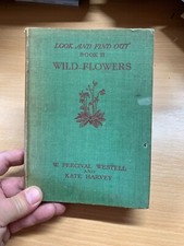 1935 " Look Et Trouvez Sortie