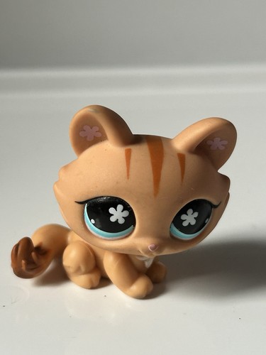 Petshop chat sphynx 649 - petshop, n°649