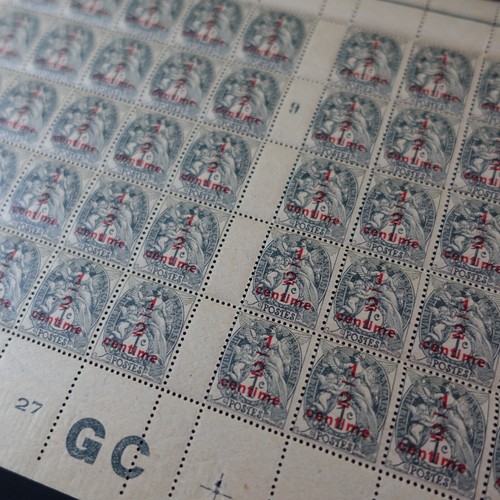 Rare type dans - ia, de