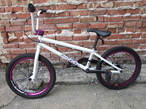 2008 hoffman scarab bmx - 20",