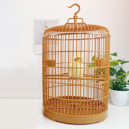 Cage oiseaux avec tasse à - cage,