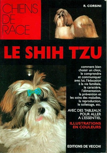 Shih tzu corsini r - corsini,,