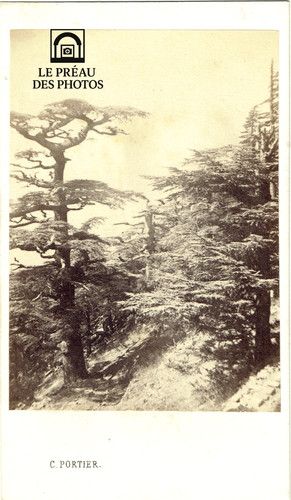 Photo cdv algérie 1870 - ca,